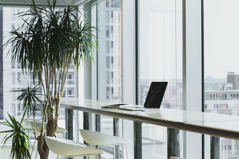 Modern office interior where Dynagest reference enquiries are handled